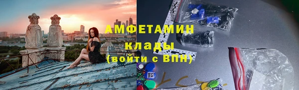 мдпв Каменногорск