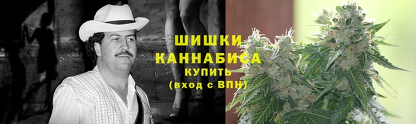 гидра Абаза