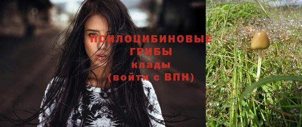 кокс Алзамай