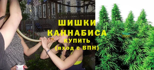гидра Абаза