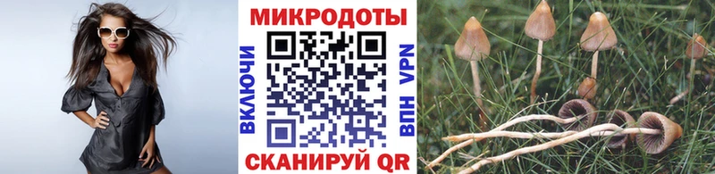 Псилоцибиновые грибы Psilocybe  Петров Вал 